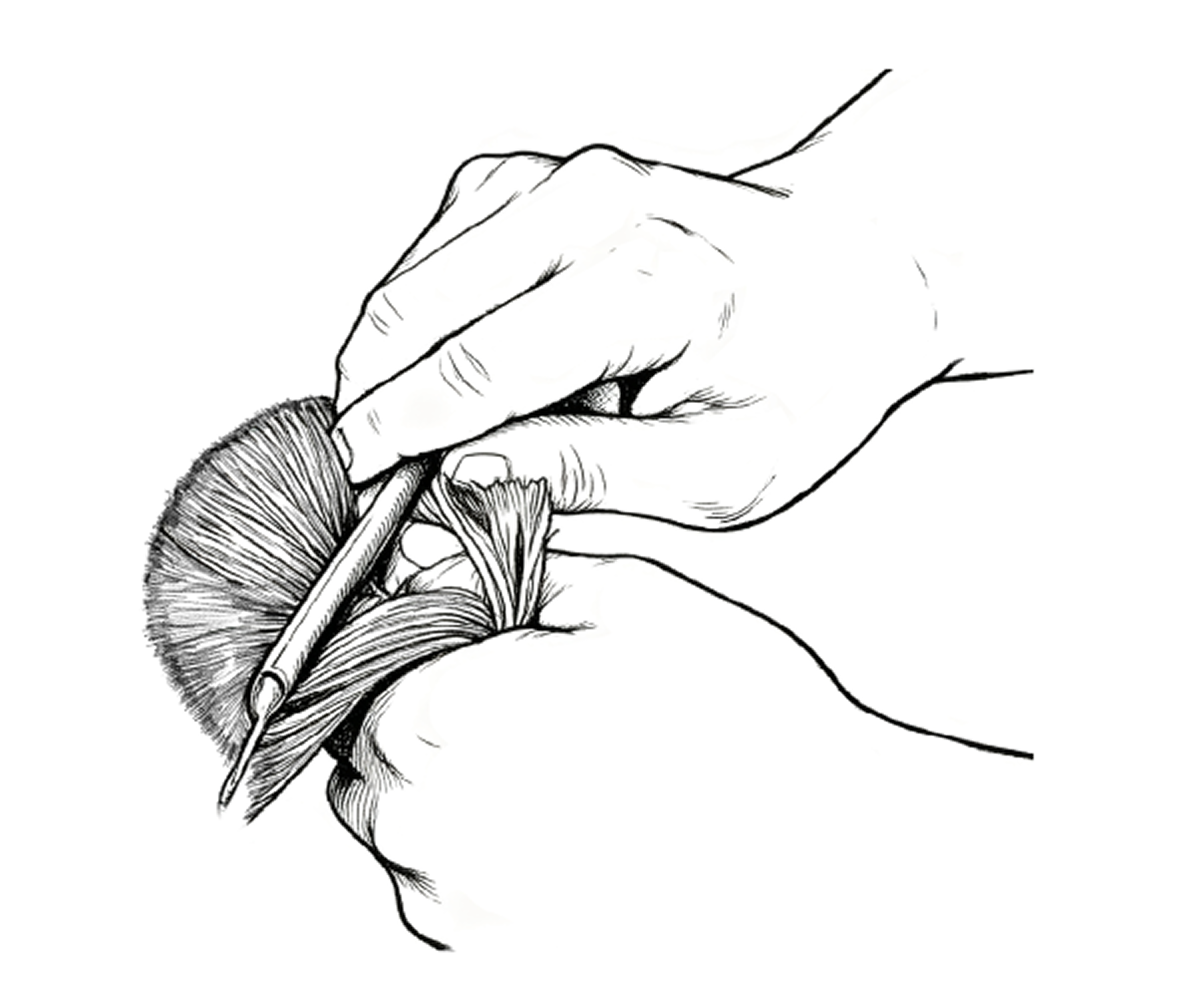 Hair Combing